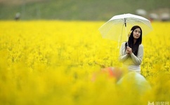 女人被添荫蒂舒服了A片小说